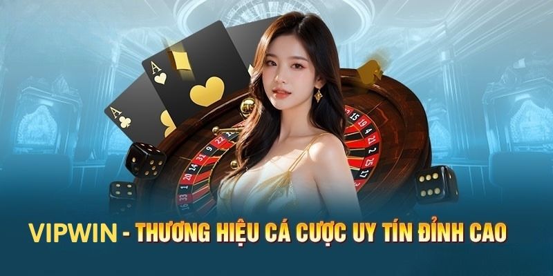 Giới thiệu Vipwin với cái nhìn tổng quan